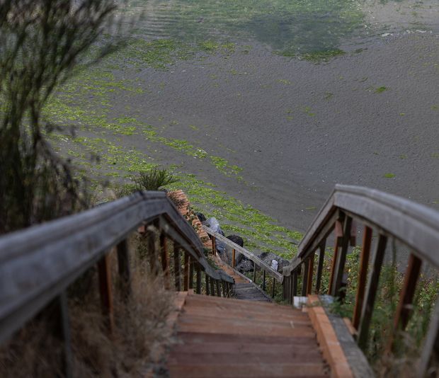 A steep timber stairway descends through a natural landscape toward a broad, calm body of water covered with patches of green vegetation. Wooden handrails and weathered steps dominate the foreground, with trees and dense planting along the sides.