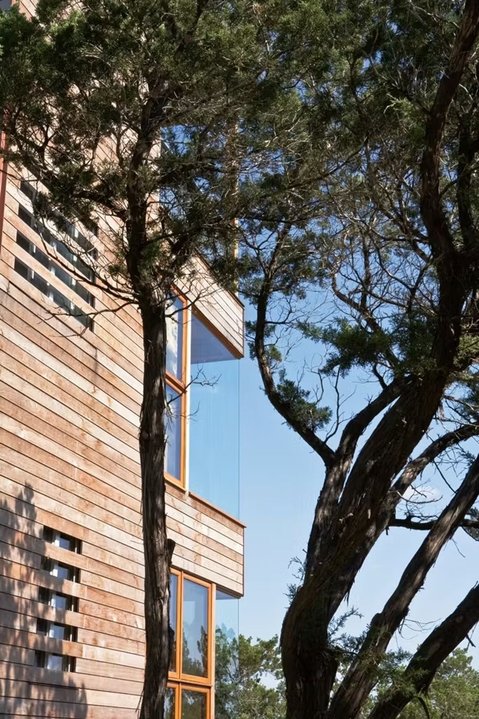 windows-outside-ap-compressed.jpg