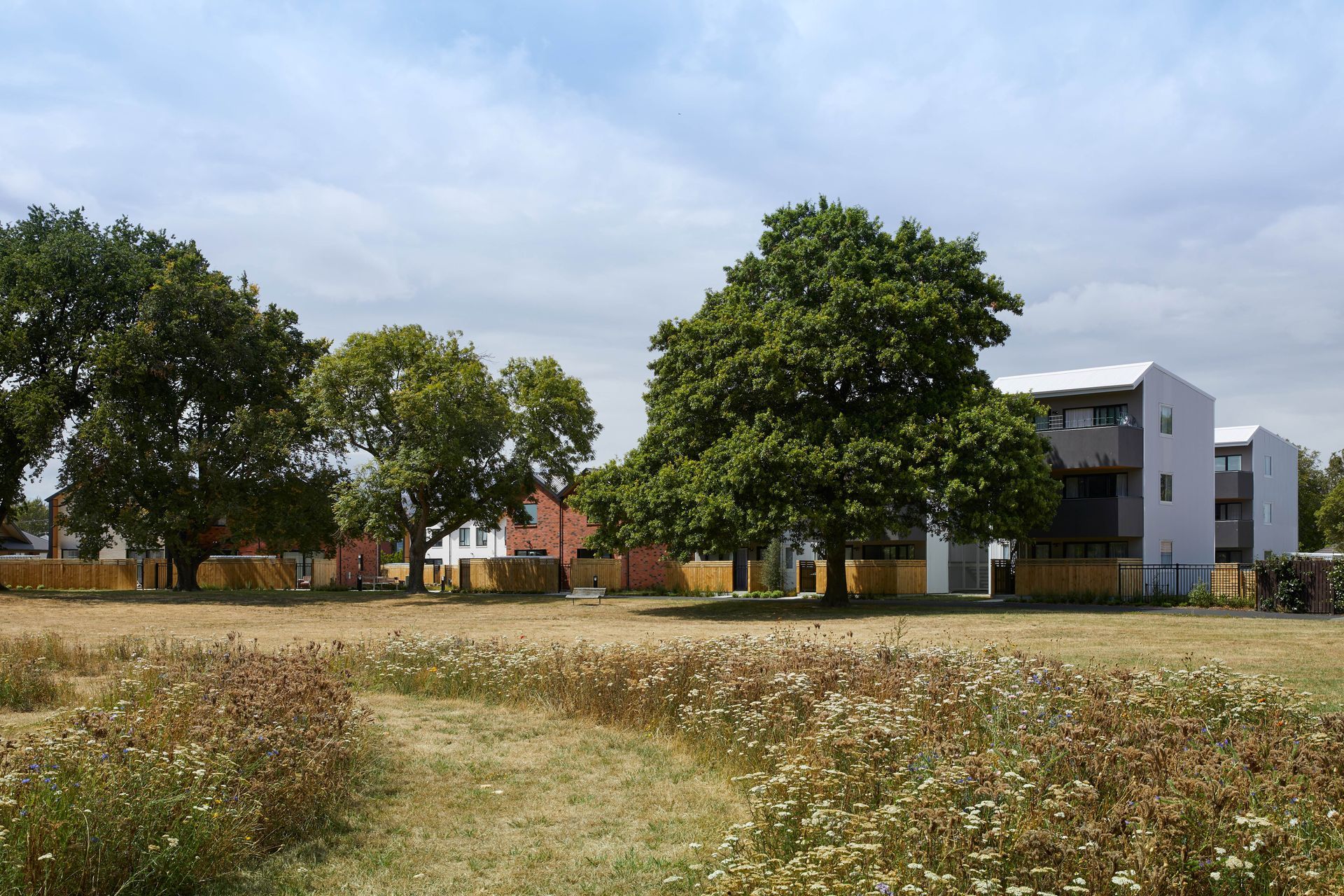 2-Willard-StPark-Sarah-Rowlands2.jpg