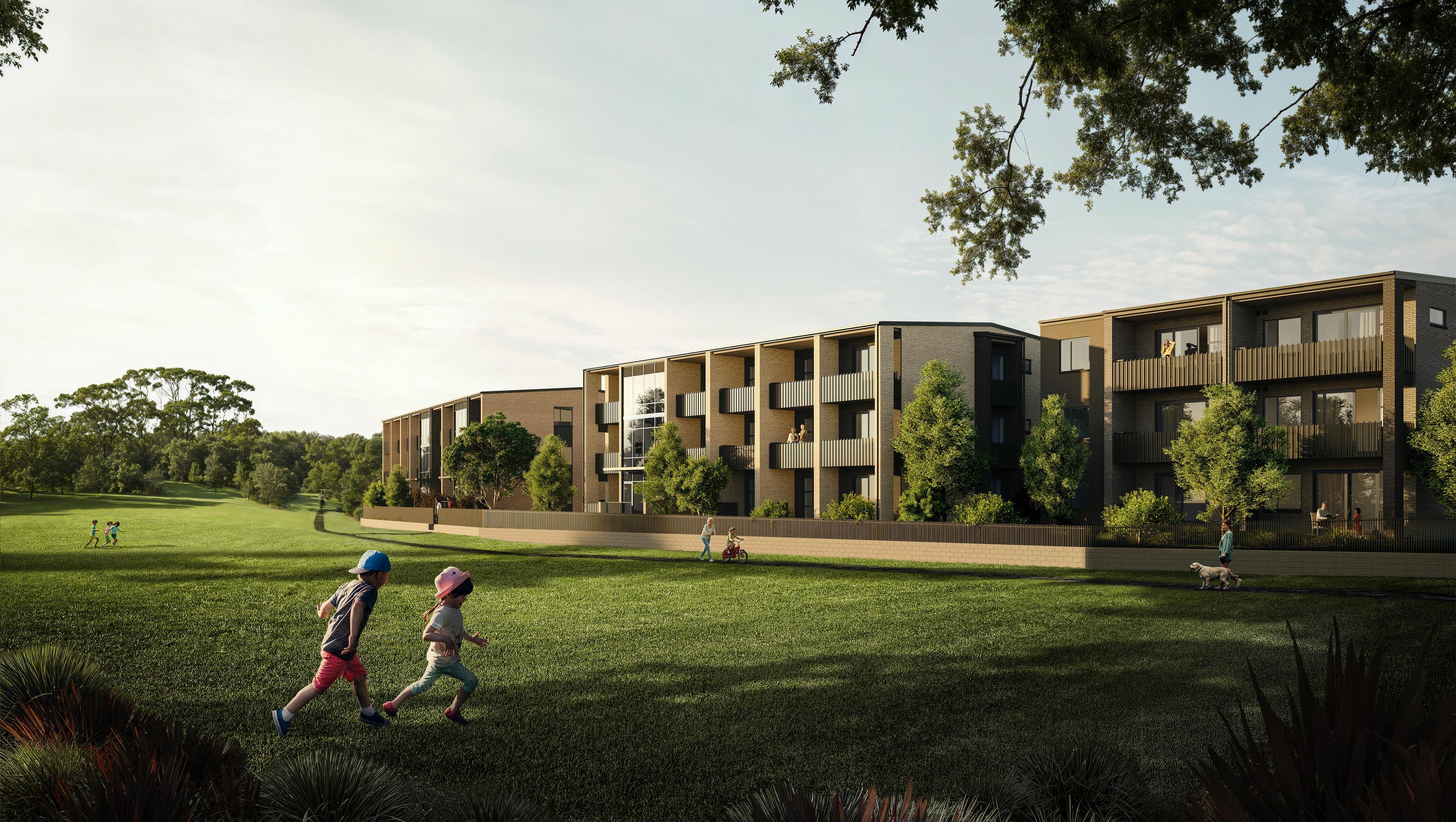 Owairaka Development