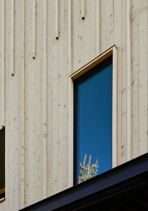 Close-up architectural exterior detail showing pale vertical timber cladding with visible knots and narrow battens, a tall narrow blue-glazed window with dark trim, and a projecting dark metal roof or awning edge in the foreground. A small portion of a conifer is visible through the glazing.