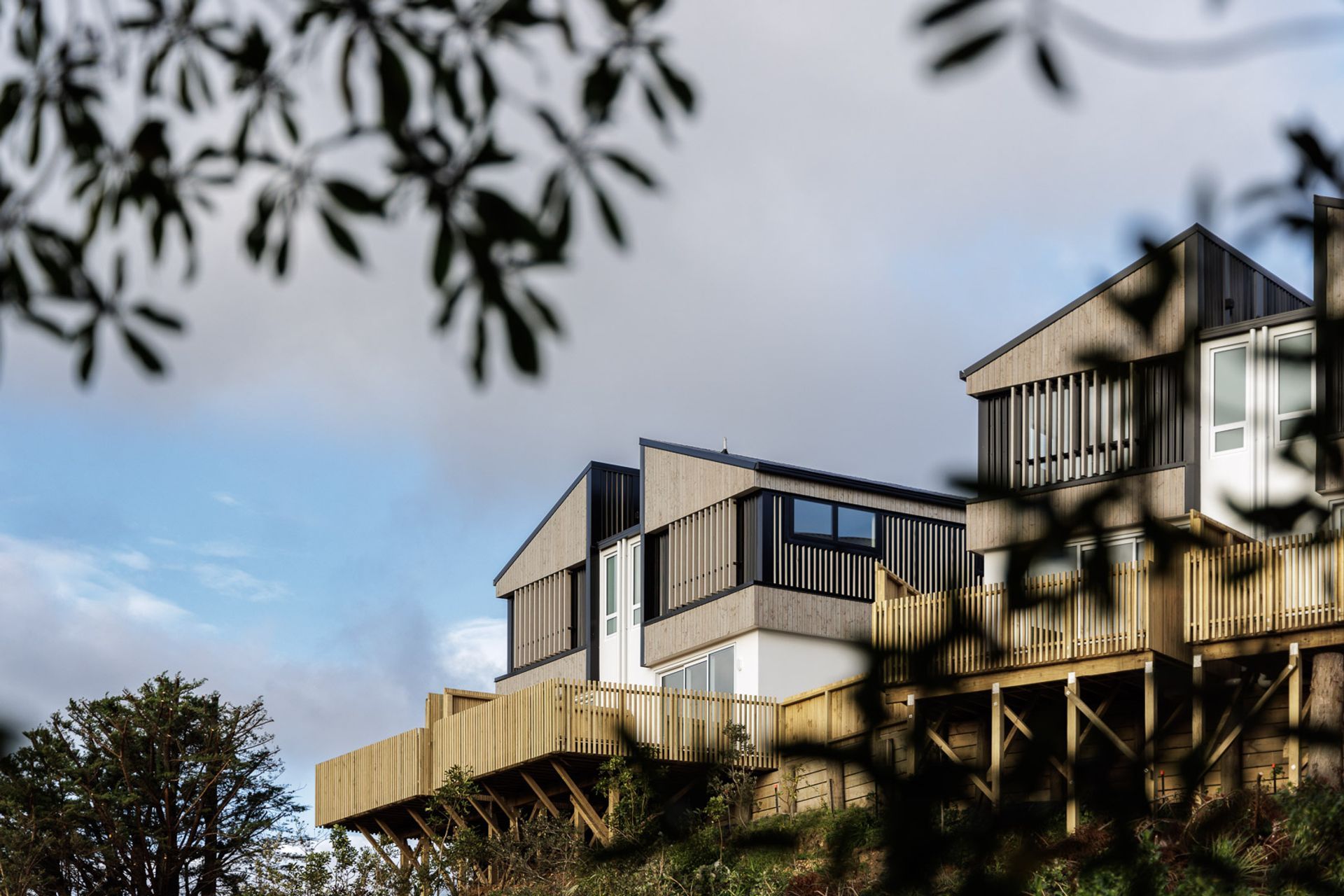 Bushland Grove