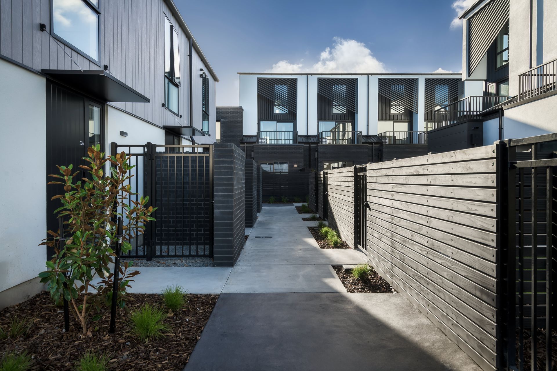 Fitz-Mews-Cat04-image-7.jpg