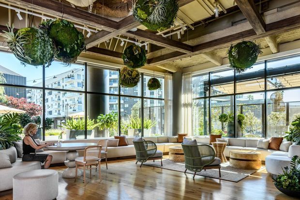 Bright, open-plan contemporary commercial lounge or hospitality space with extensive floor-to-ceiling glazing, exposed timber roof beams, polished timber flooring, abundant indoor planting, and suspended moss-like botanical installations. Low sofas, lounge chairs, small tables, and a work table create a relaxed seating and workspace environment, with an urban apartment setting visible outside.