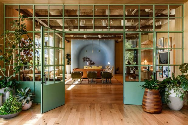 Interior view through open green-framed glazed doors into a refined dining and living area. Warm timber flooring, extensive timber wall and ceiling finishes, exposed structural beams, abundant indoor plants, and a deep blue feature wall create a natural, inviting atmosphere. The glazed partition divides the foreground circulation space from the main room while maintaining visual connection.