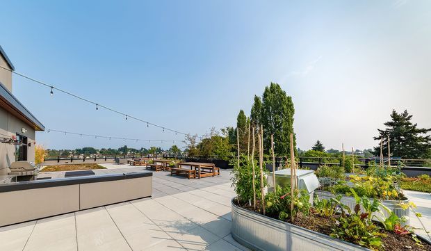 A spacious rooftop terrace or deck with large-format paved flooring, built-in outdoor cabinetry or a counter, timber dining tables and benches, string lighting, raised garden planters, and lush planted areas. The terrace has open views toward a low-rise suburban or urban setting under a clear sky.