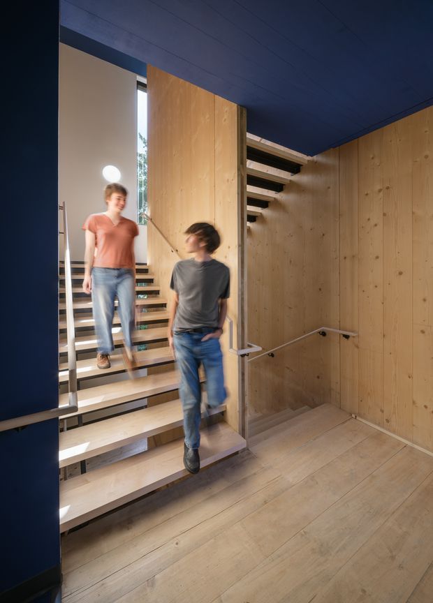 Interior view of a contemporary stairway with open-riser timber stairs, slim metal handrails, and extensive warm timber wall panelling. A dark navy ceiling and wall framing create strong contrast, while daylight enters through tall glazing beside the stairs. Two people are moving on the staircase.