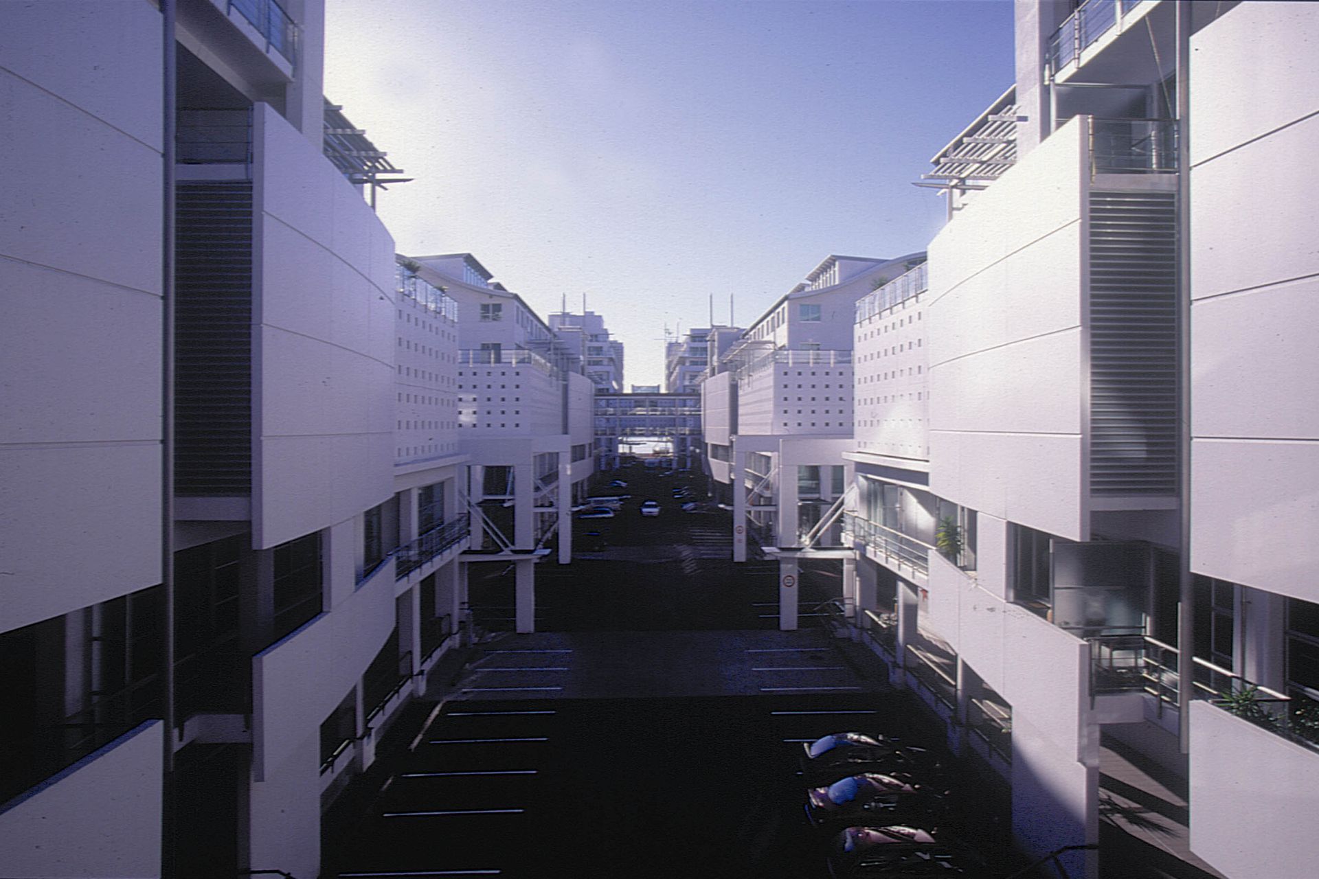 Hilton Auckland