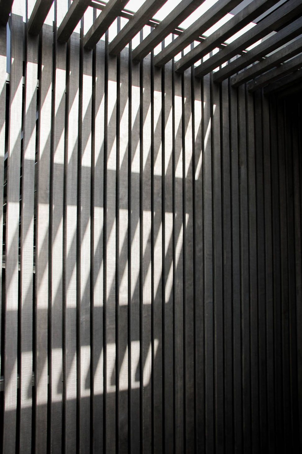 The Dual House - Exterior. Black timber battens catching the afternoon light.