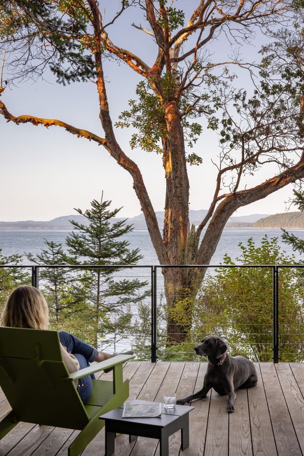A serene outdoor deck overlooking a broad body of water and distant wooded hills. A large mature tree rises through the view, with a black metal cable balustrade along the deck edge. A person sits in a green outdoor lounge chair beside a black dog, with a small black side table and glass in the foreground. The scene has warm late-afternoon light and a natural waterfront setting.
