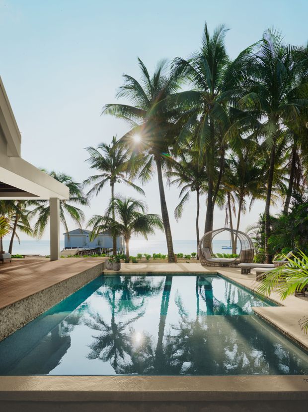 A tropical beachfront outdoor area featuring a rectangular swimming pool in the foreground, surrounded by a timber deck, pale paved surfaces, lush palm trees, and a covered modern pavilion. The ocean is visible beyond the garden, with a hanging outdoor lounge chair near the pool. Bright, relaxed resort-like atmosphere.