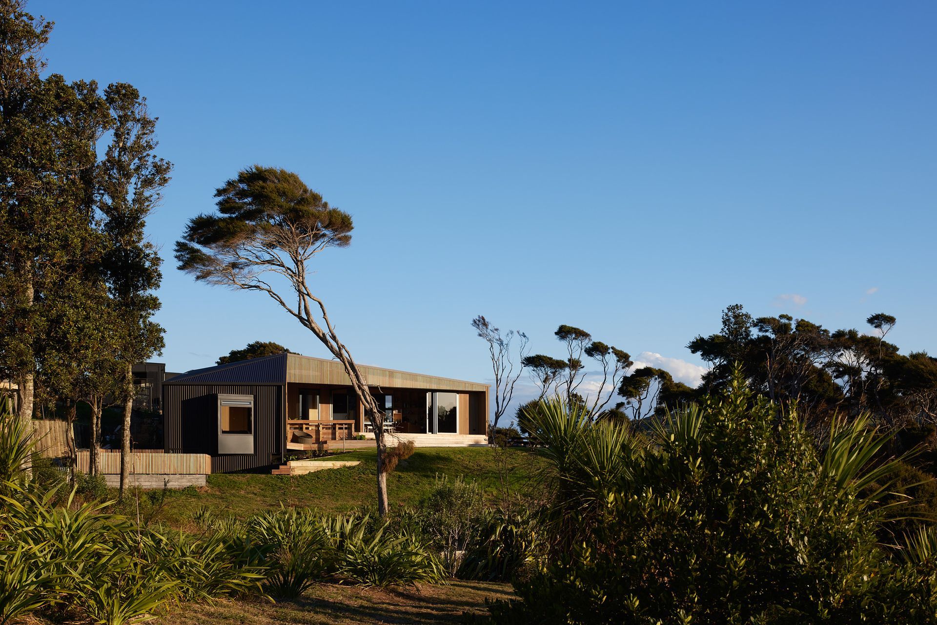 Rangitahi Bach