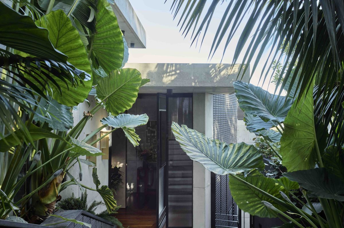 Kyle Bay House