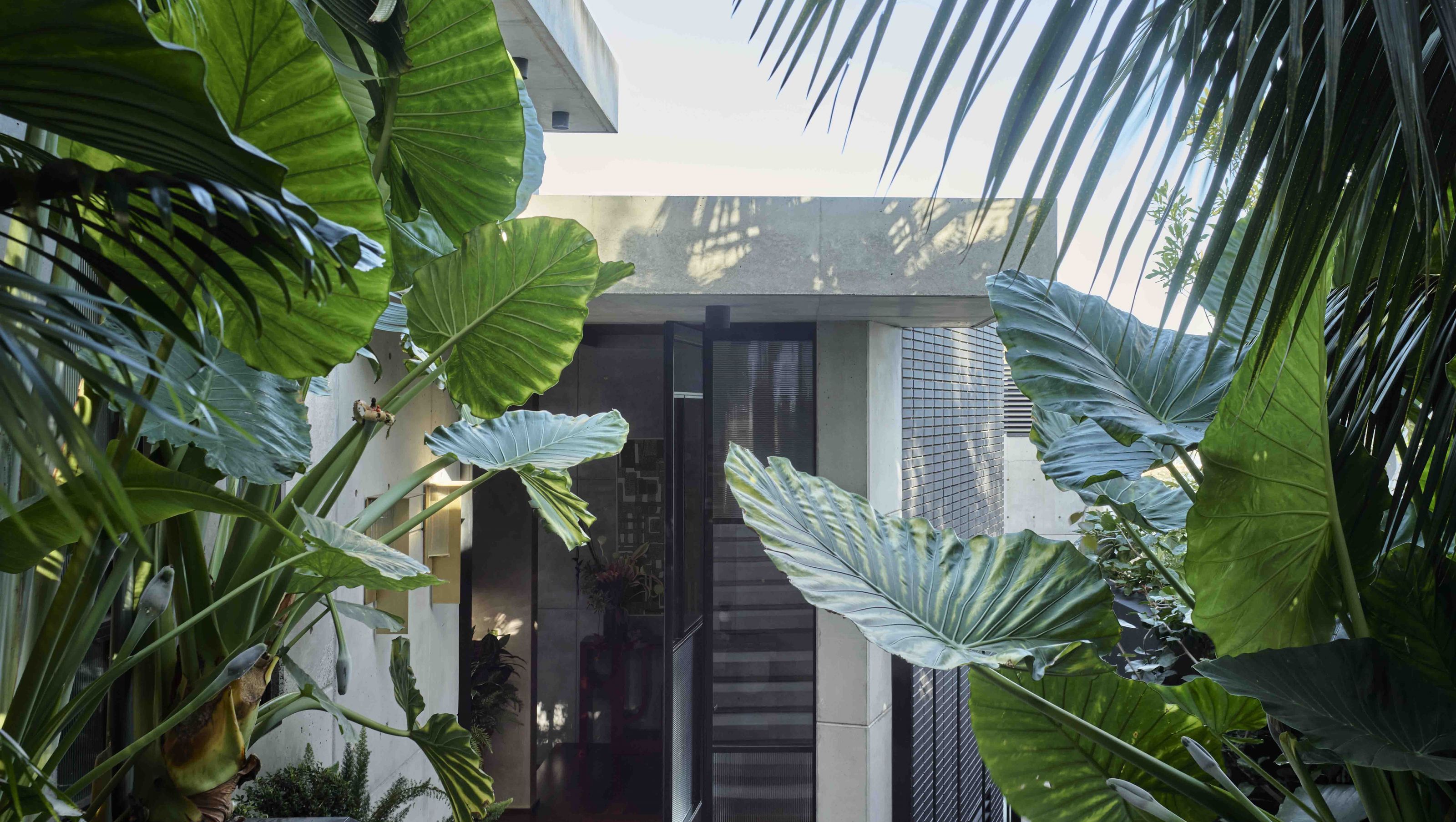 Kyle Bay House