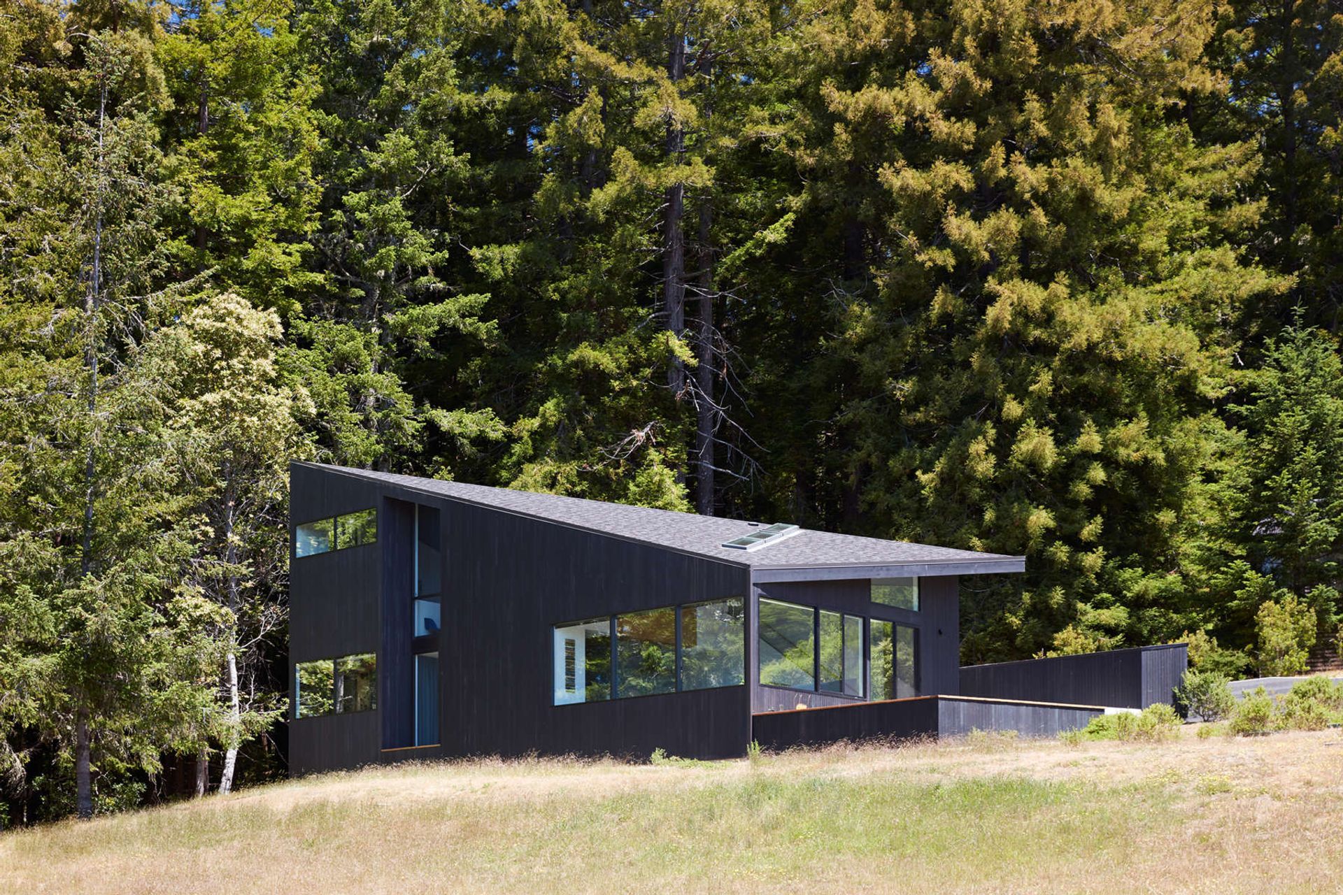 KlopfSeaRanch39.jpg