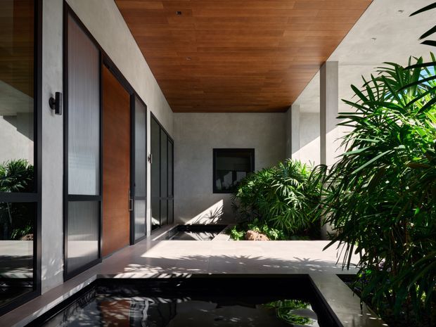 A modern covered courtyard or entry terrace with a shallow reflecting pool in the foreground, lush tropical planting, dark-framed glazing and timber doors along one side, and a warm timber-lined ceiling. Smooth concrete walls, strong sunlight and deep shadows create a calm, resort-like indoor-outdoor atmosphere.
