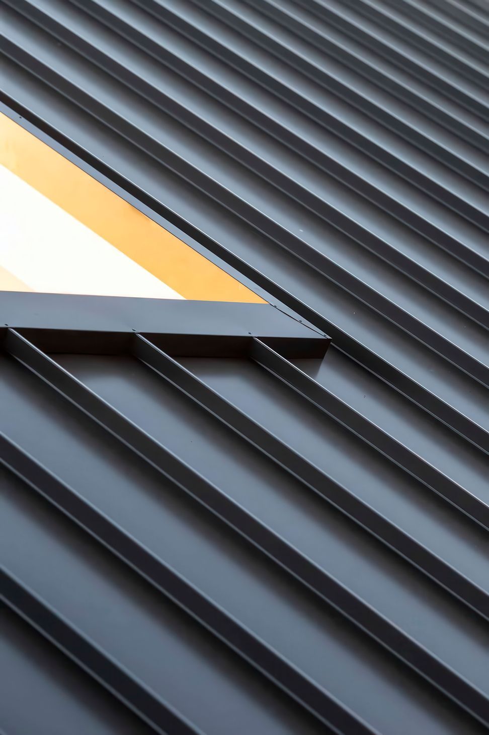 archipro-Snap-Line-45-Roofing-Roofing-Palm-Beach-NSW.jpg