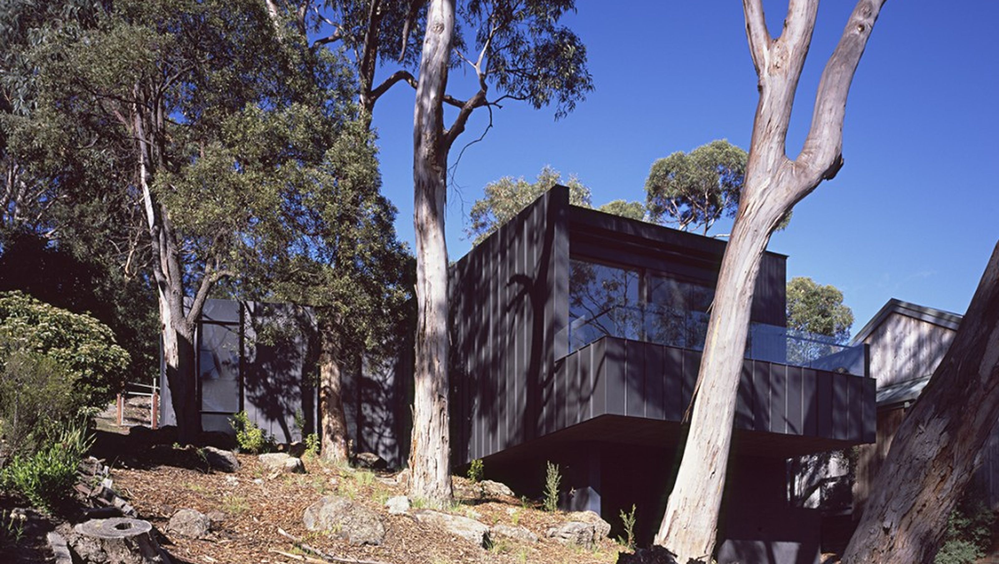 Tree House