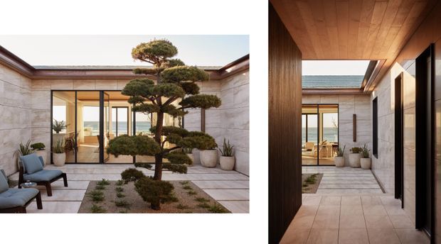 A contemporary courtyard and covered passage framed by pale stone walls, warm timber soffits and large glazed openings. A sculpted, tiered tree forms the central landscape feature, with minimalist outdoor seating and potted plants around a paved and gravel courtyard. Through the glazing, a bright interior and distant water or horizon are visible.