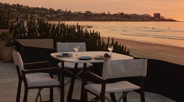 An outdoor dining terrace overlooking a calm sandy beach and bay at sunset. A set dining table is arranged with plates and wine glasses, surrounded by upholstered dark-framed chairs. Large potted plants and a dense cactus planting screen define the terrace edge, with a dark privacy balustrade framing the coastal view.