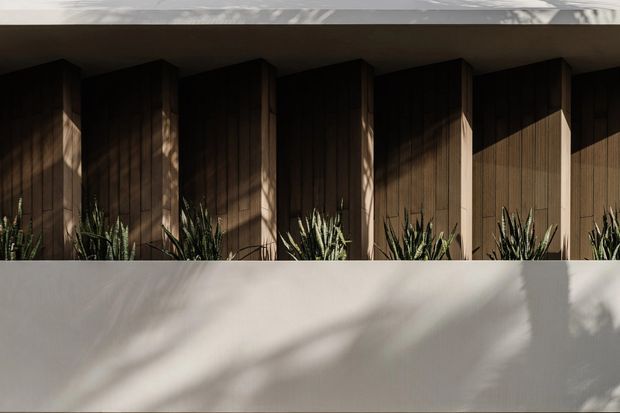 Close-up architectural exterior detail featuring a long recessed facade with repeated vertical timber-lined bays or fins, pale structural framing, and integrated spiky plants along the base. Strong sunlight creates dramatic patterned shadows across the timber and smooth light-coloured wall surfaces.