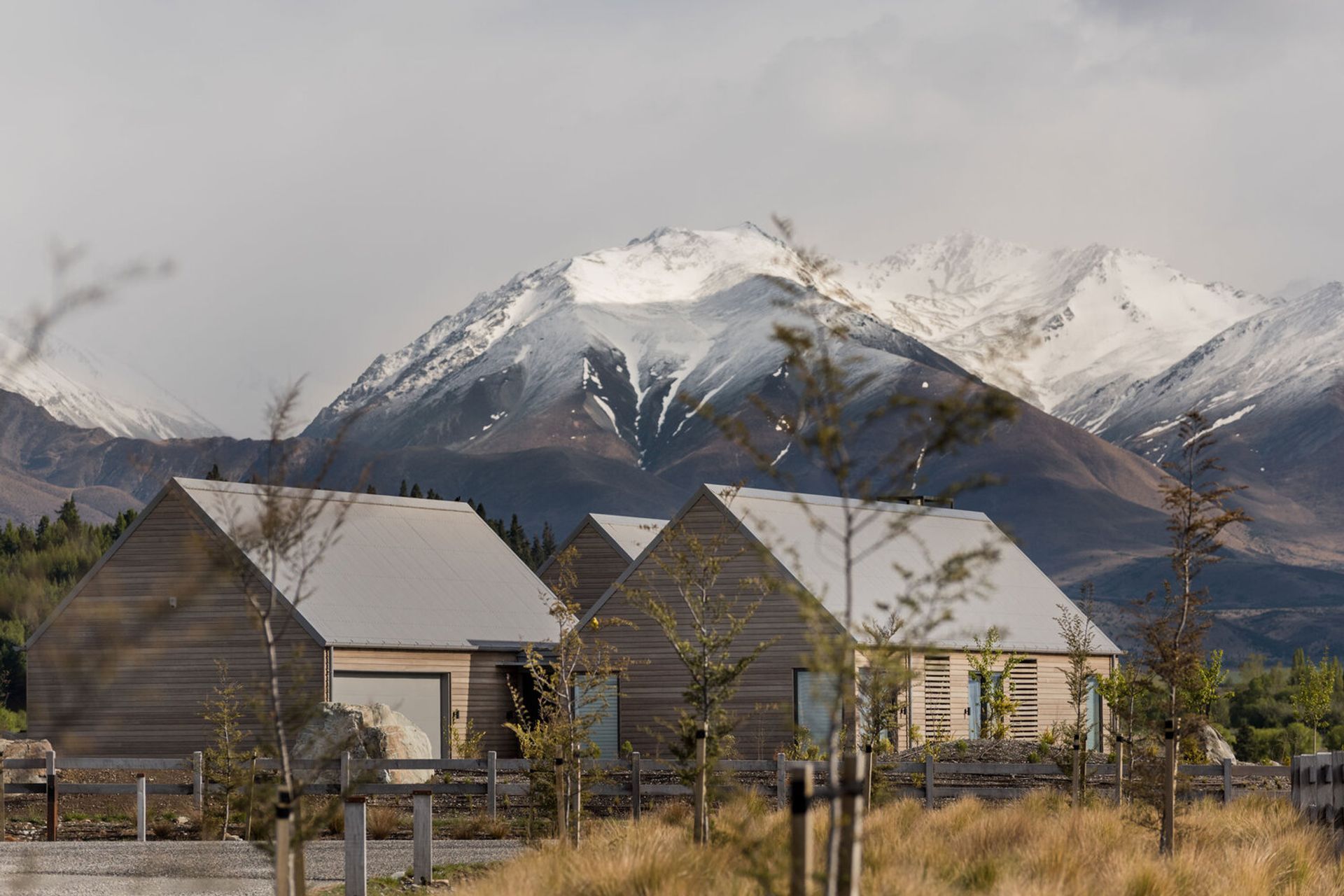 Merino Downs