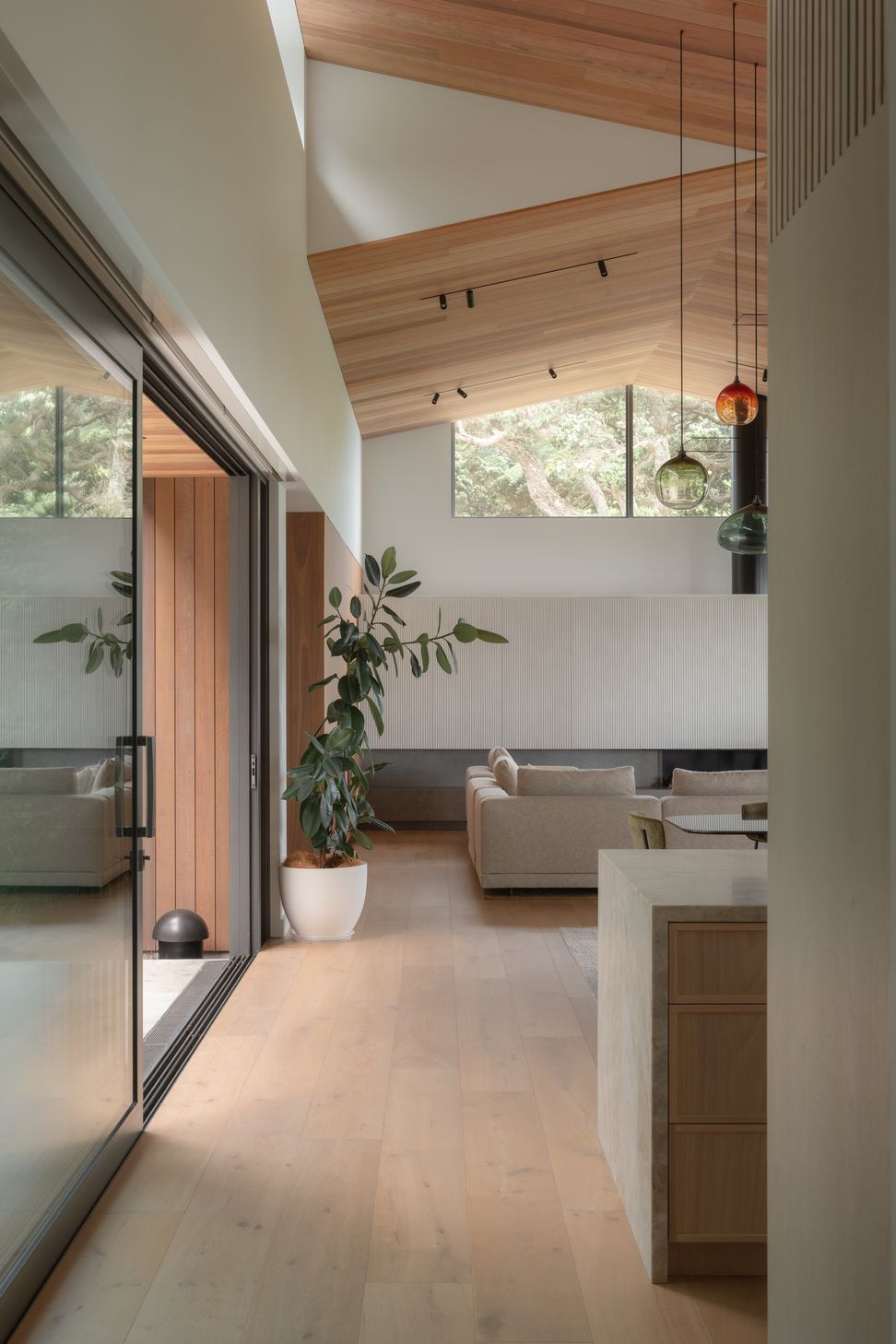 tlp-pohutukawahouse-nottarchitects-biddirowley-4037.jpg