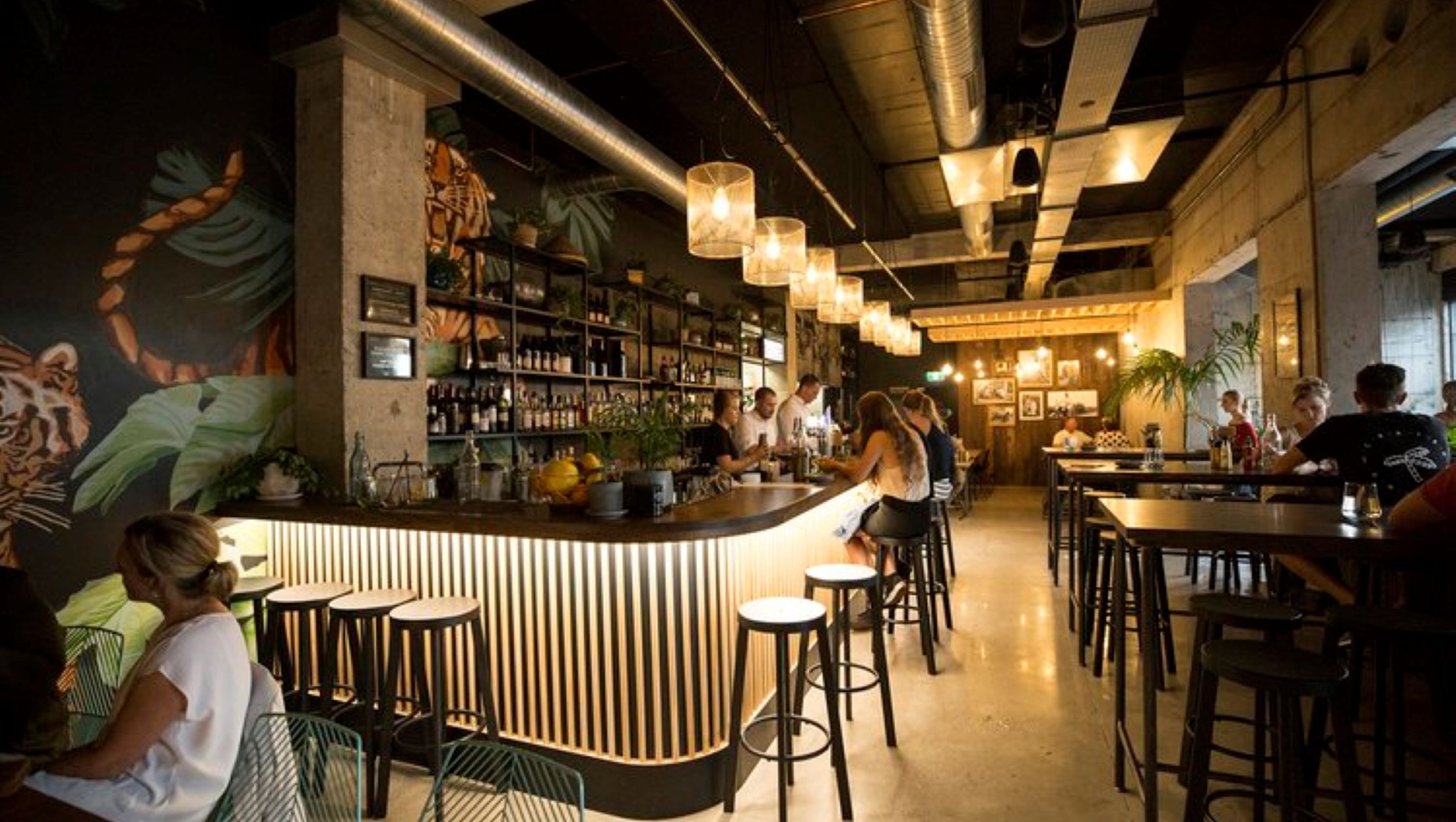 Banh Mi Caphe Shelving