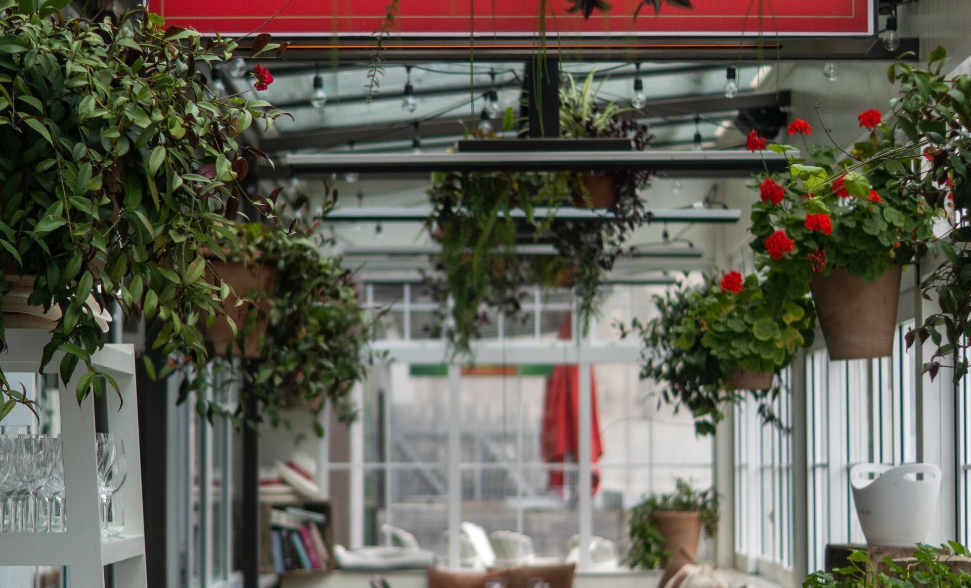 Baduzzi Restaurant