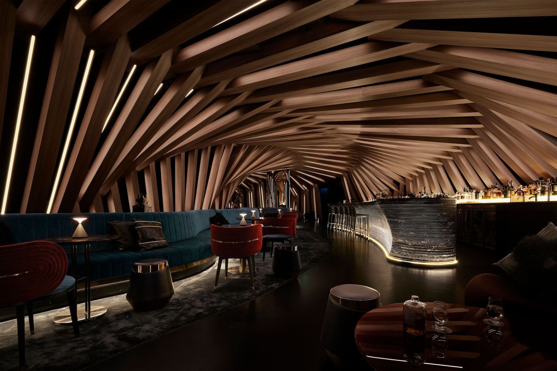 Curious Bar