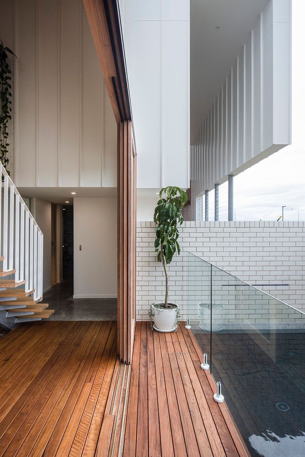 Viner Residence - Hall. Glass balustrade and indoor plant on the upper landing.