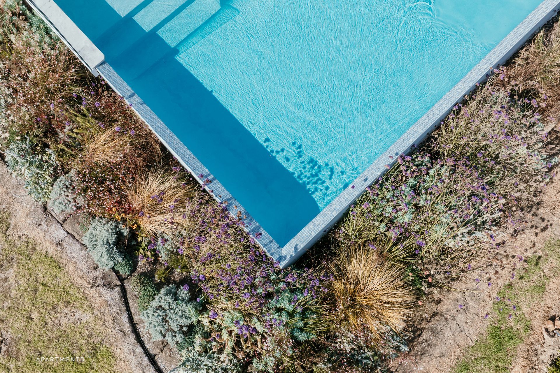 AMArchitectsWaihekeMCrawford-2183.jpg