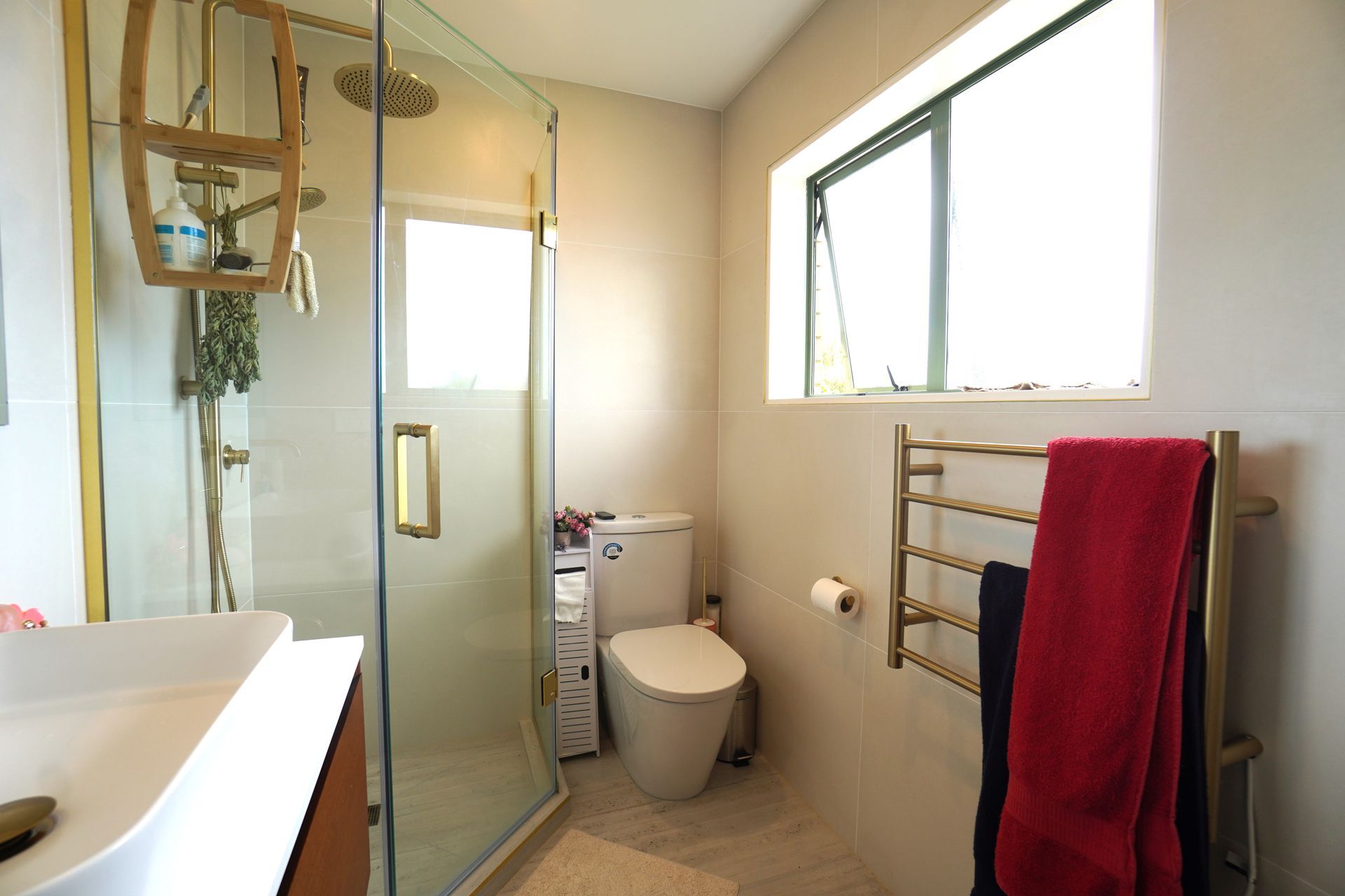 Chris-Joe-bathroom.JPG