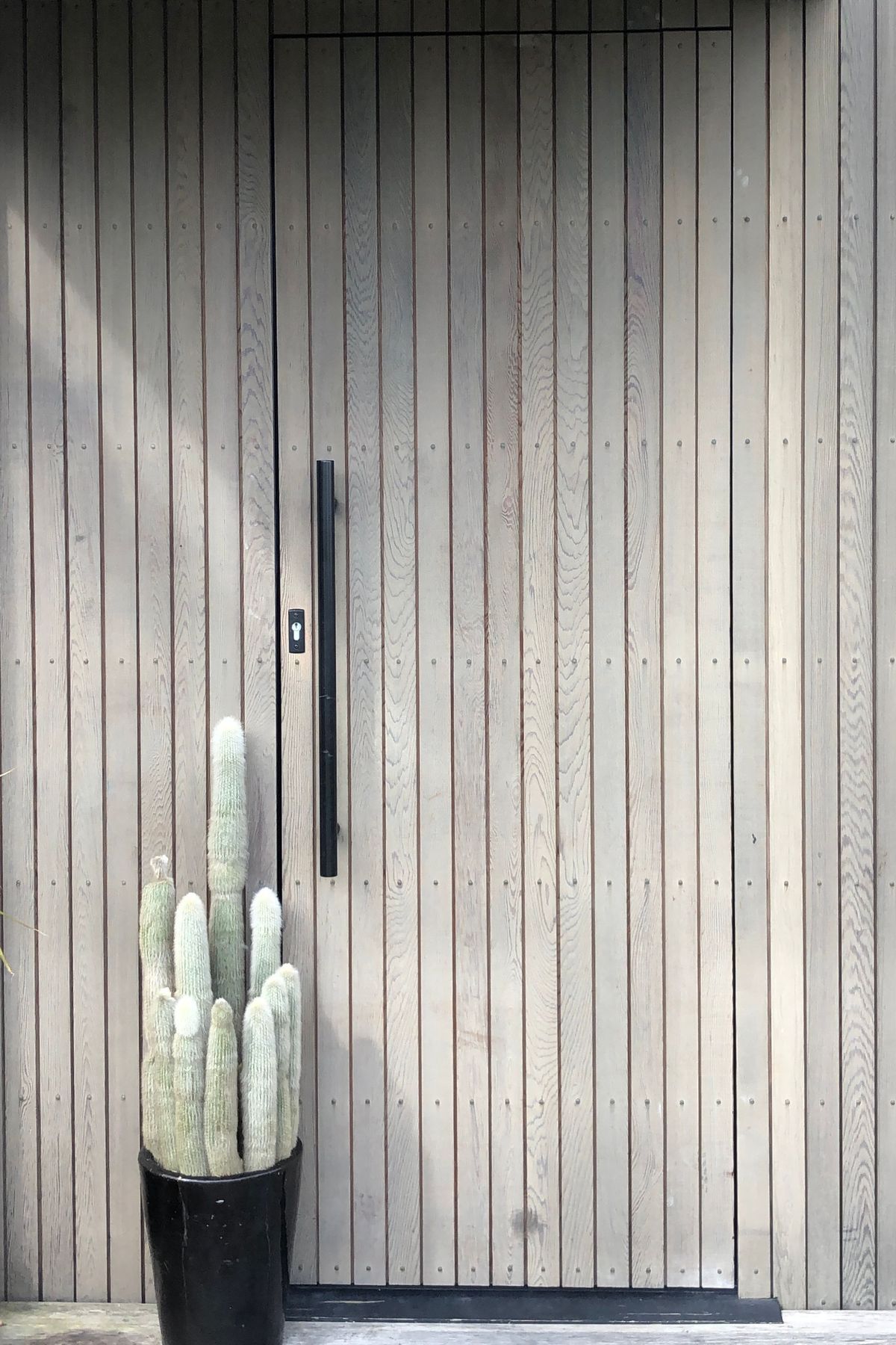 Cedar Front Door