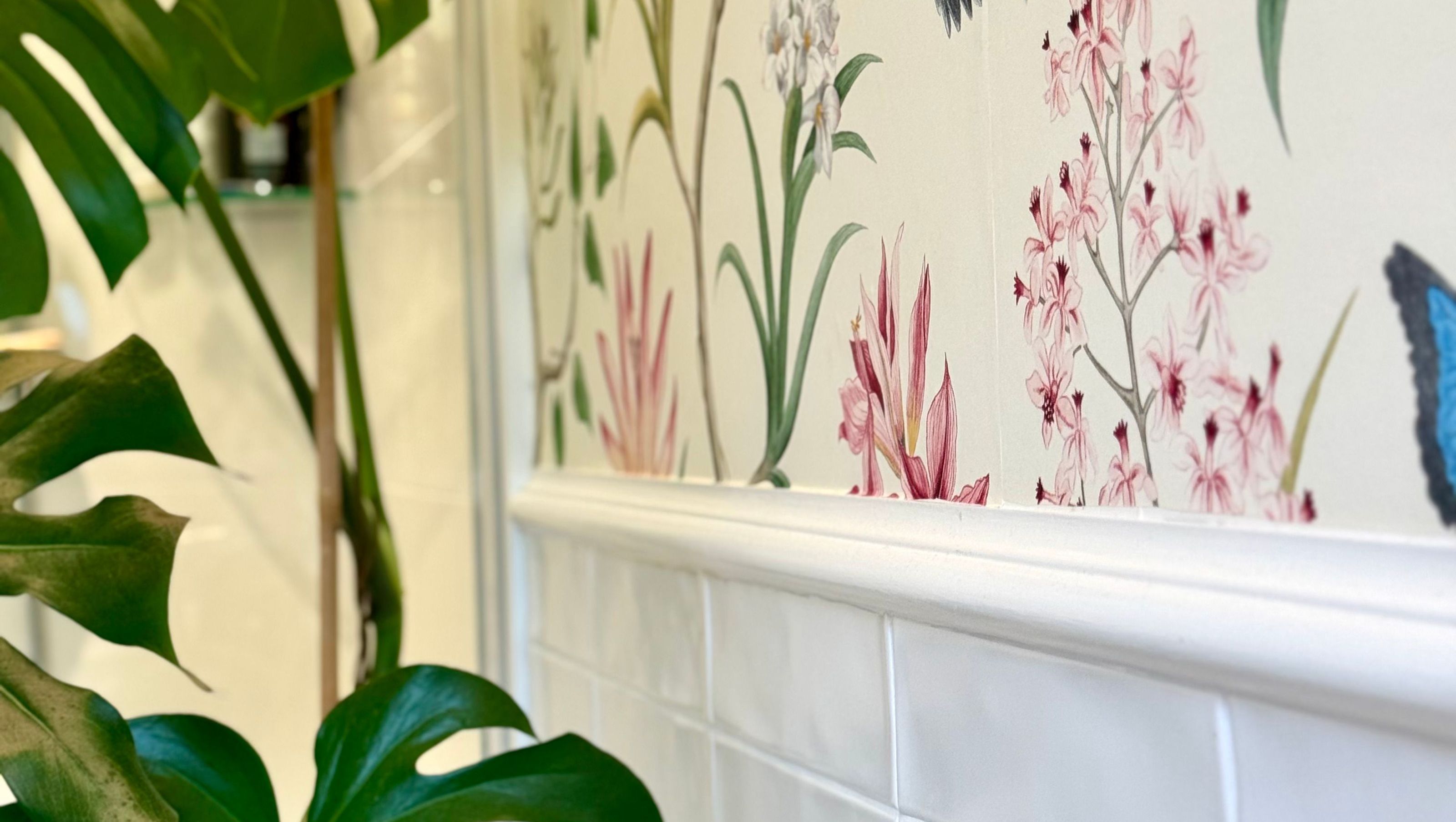Devonport Bath & Wardrobe