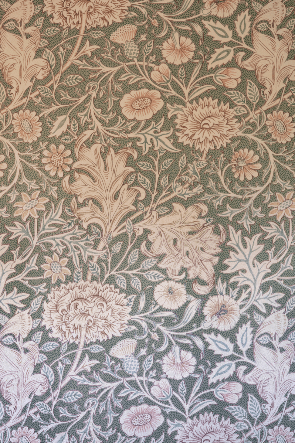 shapley-detail-master-wallpaper-low-res.png