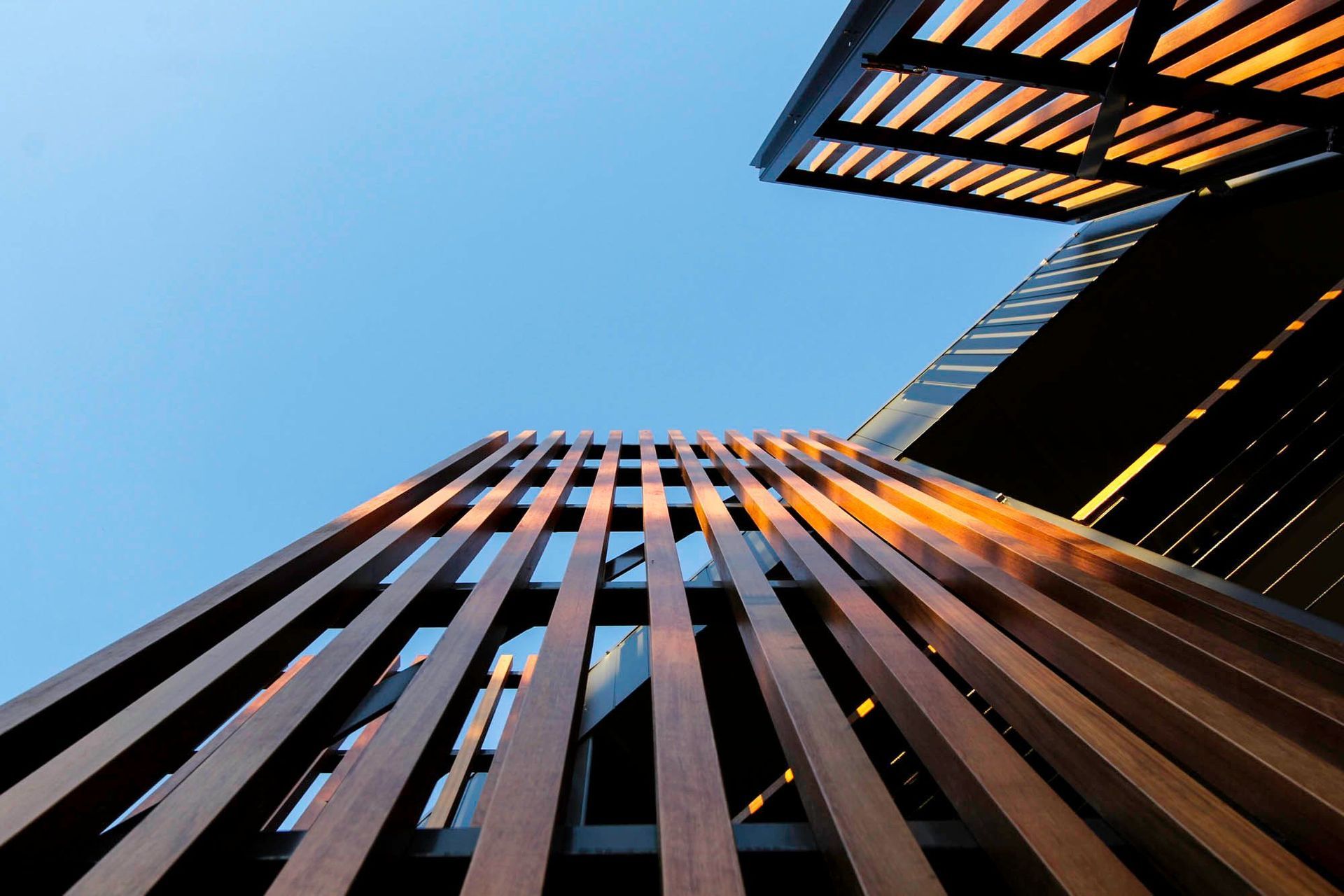 Glennon Residence - Exterior. Looking up at the timber battened screens against the sky.