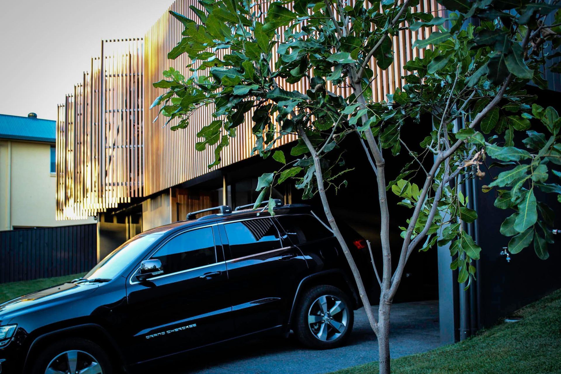 Glennon Residence - Exterior. Battened facade framed by a leafy tree.
