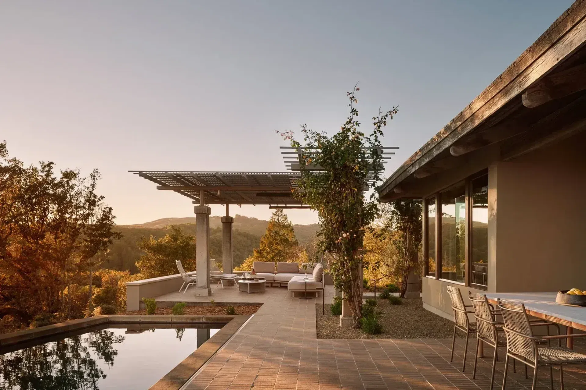 16trellis14361.webp