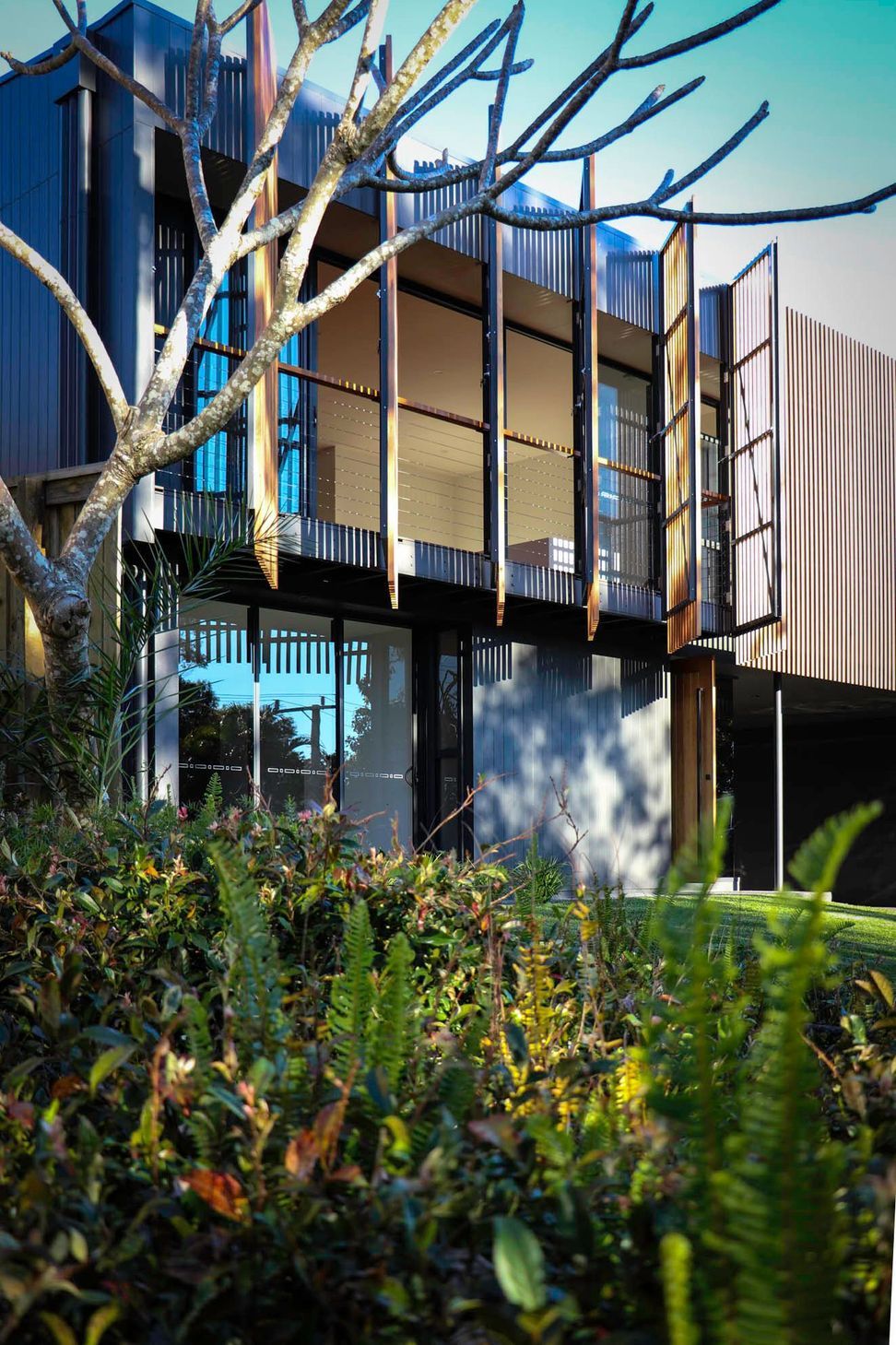 Glennon Residence - Exterior. Battened screens above lush ground floor planting.