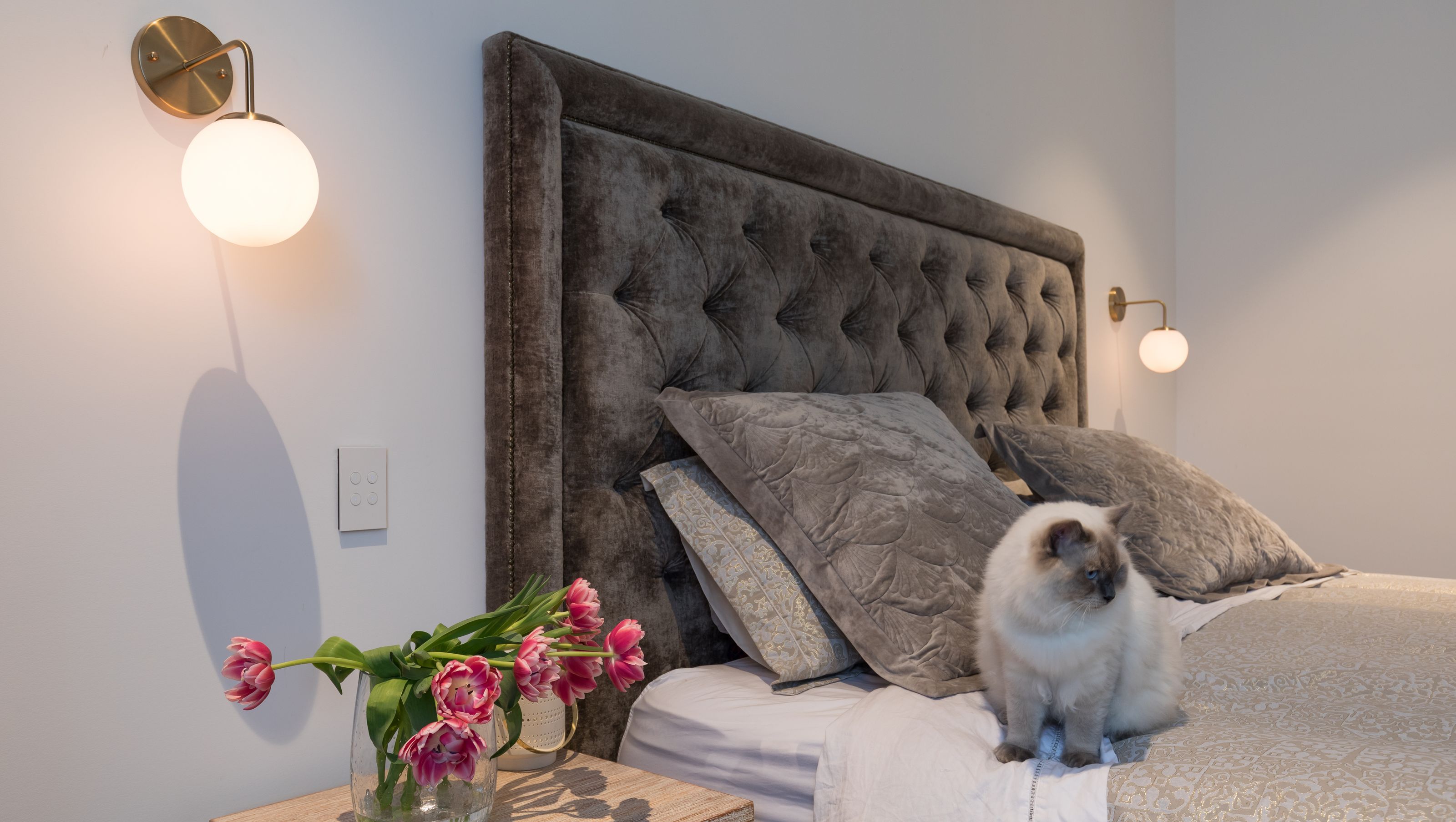 Freemans Bay Interiors