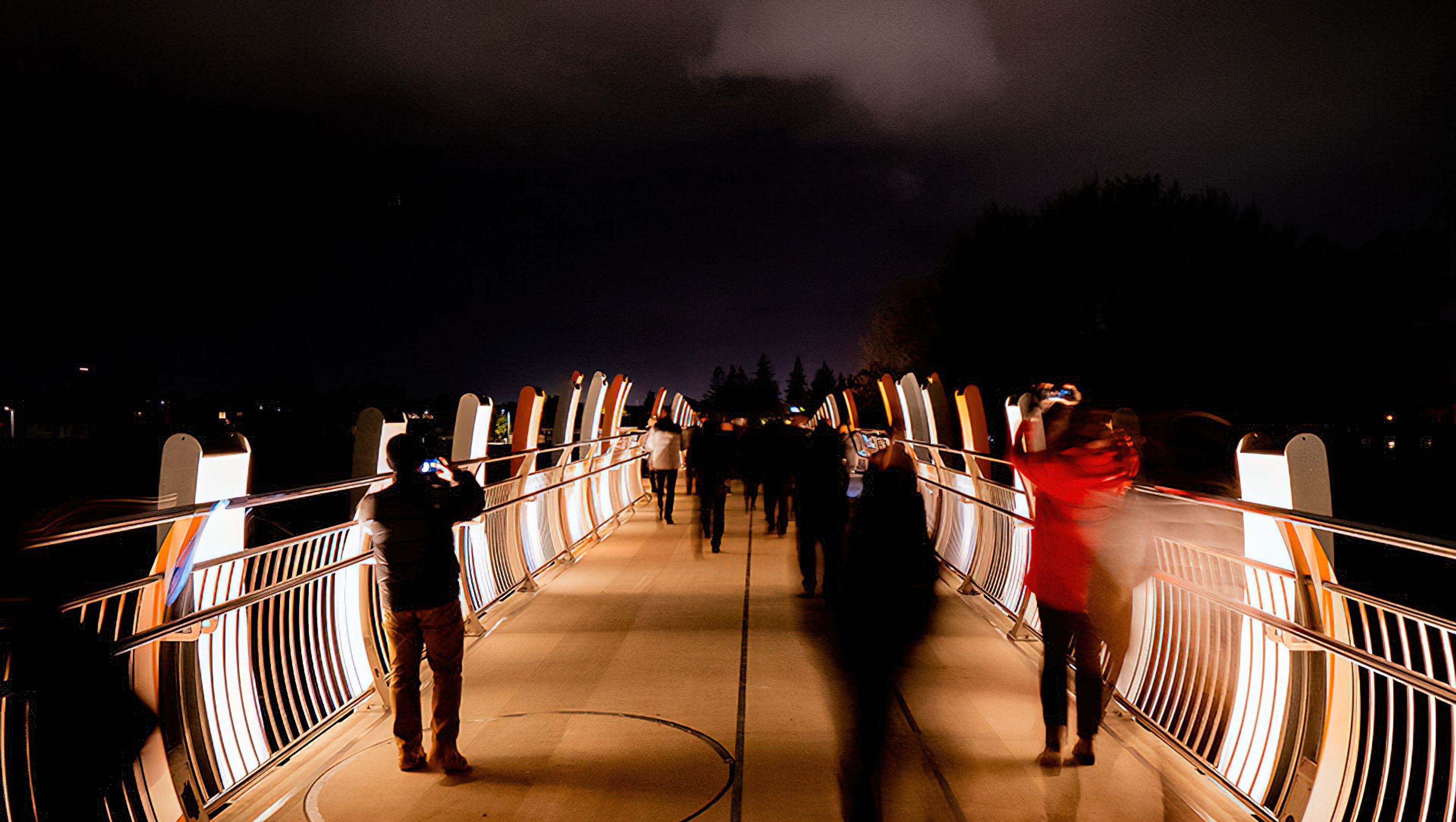 He Ara Kotahi Bridge