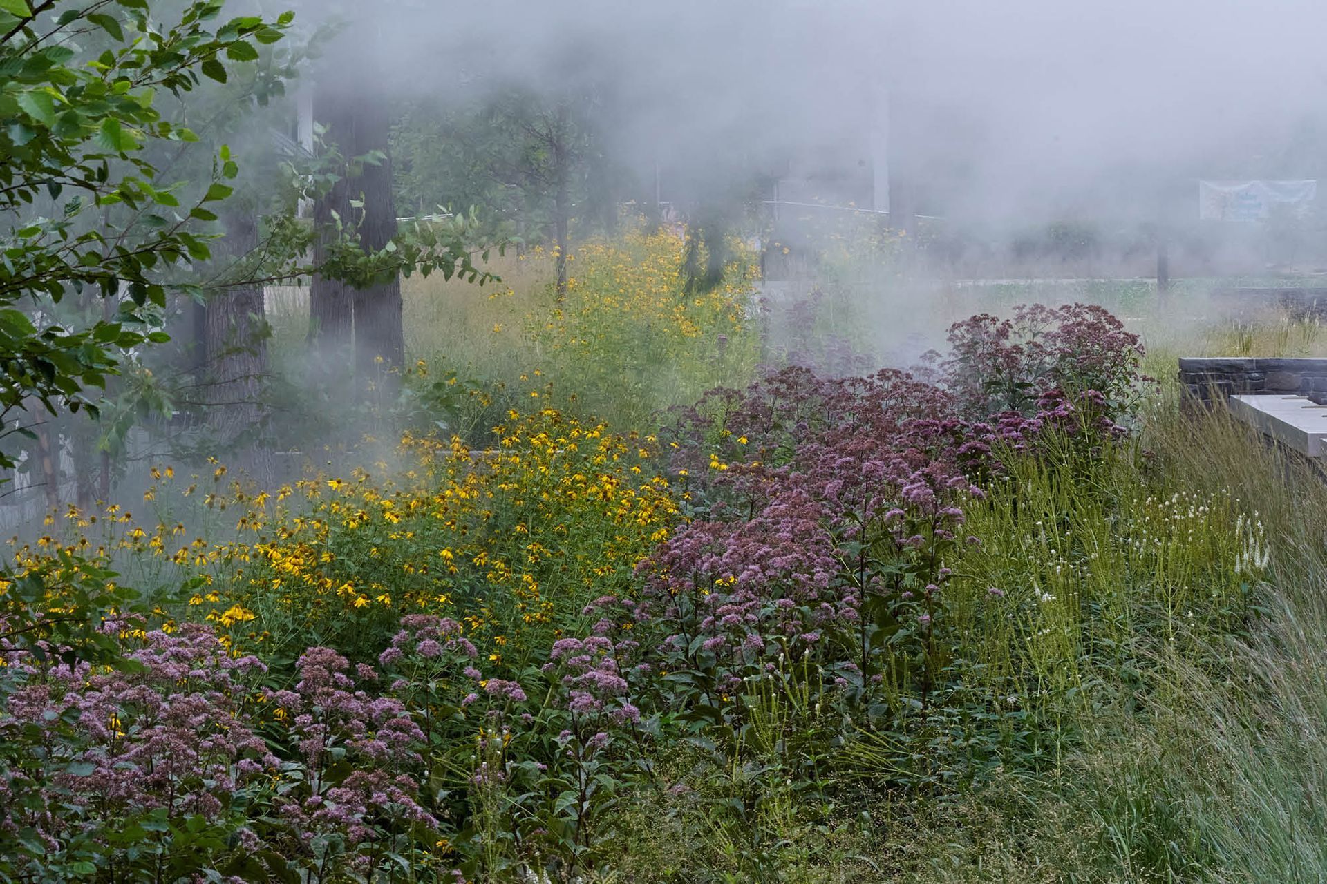 BuhlCommunityPark07.jpg