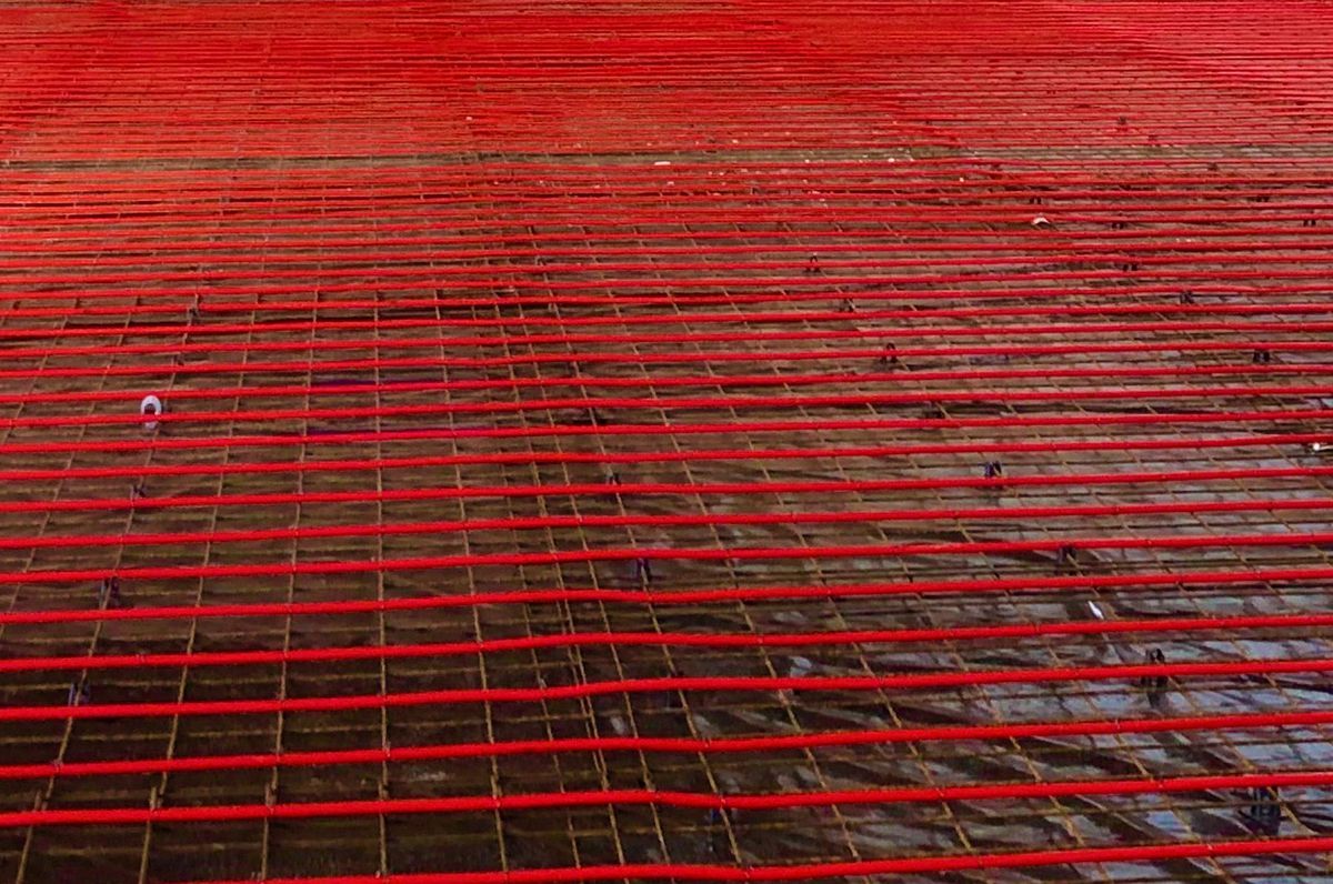 MPI Dog Kennels Auckland Airport