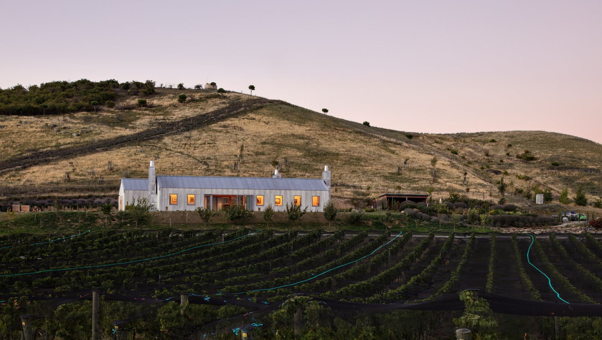 The Cellar Door - Noel Lane Architects Project in association with R.B Studio | Project of the Month banner