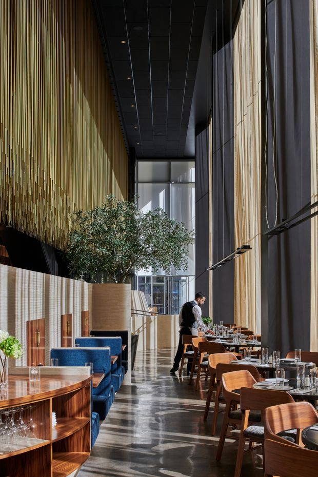 A tall, sophisticated restaurant dining hall with dramatic double-height proportions. The space features floor-to-ceiling glazing, dark ceiling panels, a warm vertical timber-slat feature wall, polished dark stone or concrete flooring, and rows of timber dining tables and upholstered chairs. Blue upholstered banquettes, indoor trees, and strong natural light create a refined contemporary hospitality setting.