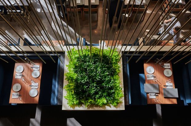 Overhead view of a refined commercial dining area, centered on a lush rectangular planter beneath a grid of slender dark metal rods. Two neatly set wooden dining tables with dark upholstered seating sit on either side, while an upper-level walkway and people are visible in the background. The space has a dramatic, sophisticated restaurant interior with warm timber, dark finishes, and integrated greenery.