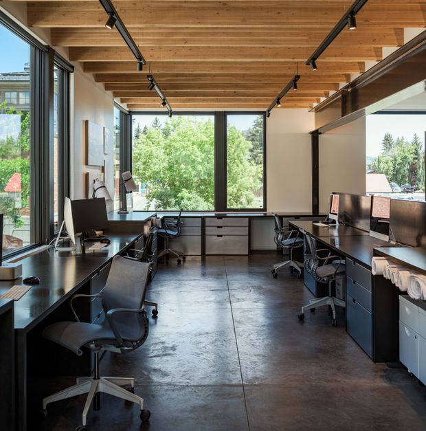 Bright contemporary home office with multiple workstations arranged along both sides of the room. The space has expansive black-framed windows, a polished concrete floor, a warm exposed timber ceiling with black track lighting, dark built-in desks and drawer cabinetry, and an open upper storage shelf. Trees and neighbouring buildings are visible through the glazing.