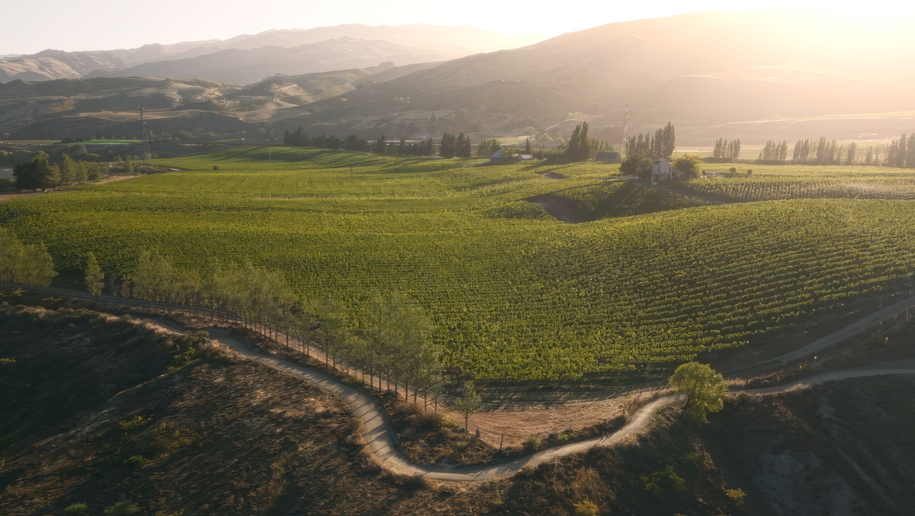 Carrick Winery