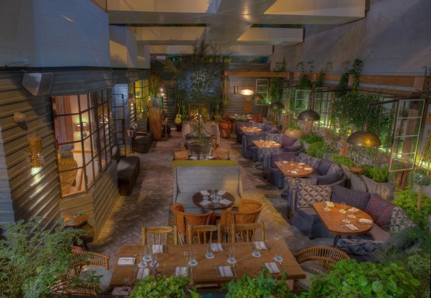 A richly planted, atmospheric restaurant or hospitality interior arranged around a long central dining space. Multiple timber dining tables, upholstered banquettes, lounge chairs, pendant lamps, potted plants, and patterned furnishings fill the room. The space has an industrial-eclectic character, with exposed metal and timber detailing, glazed partitioning, warm low lighting, and a high ceiling with angular suspended panels.